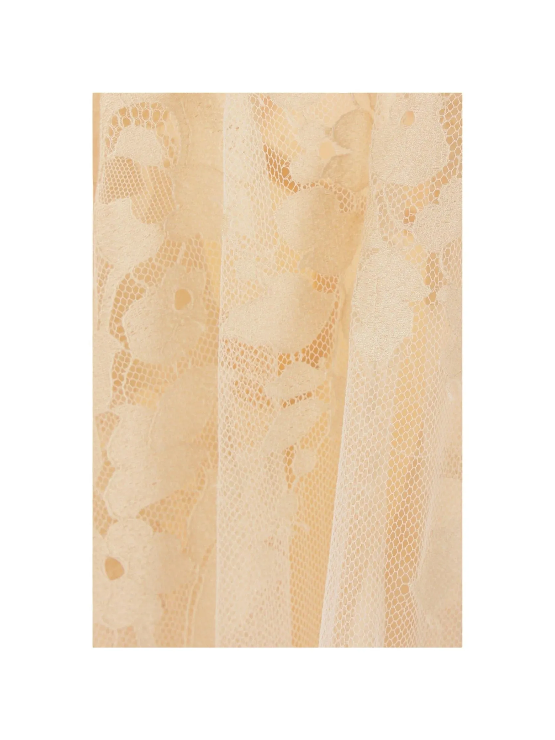 Illustration Lace Top