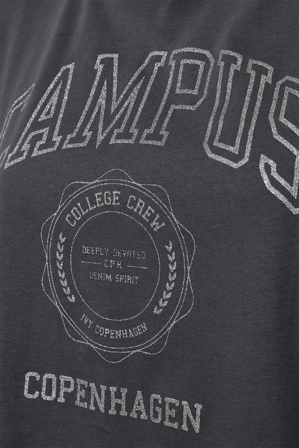 IVY-Campus Glitter Tee - Silver Grey