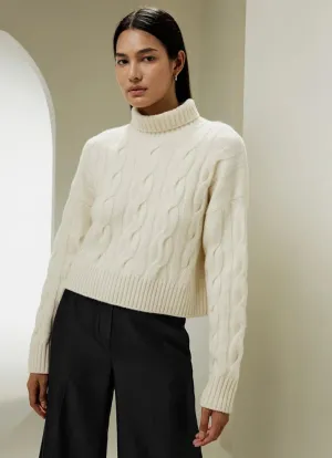 Turtleneck Pullover Cashmere Sweater